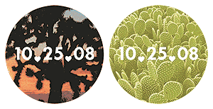 Forever Begins With Just One Night